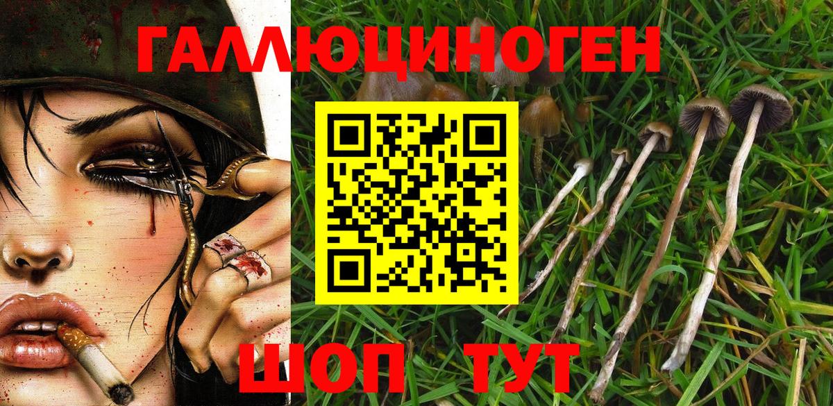Галлюциногенные грибы Magic Shrooms  Галлюциногенные грибы MAGIC MUSHROOMS  Ногинск  Вход с VPN 